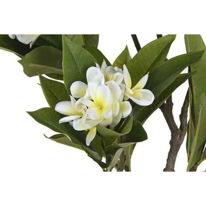 Arbol Tropical DKD Home Decor Blanco Verde 80 x 150 x 80 cm 3 Arbol Tropical DKD Home Decor Blanco Verde 80 x 150 x 80 cm 3
