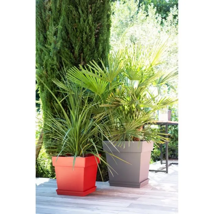 Eda Maceta Cuadrada Toscana 50 cm - 87 L - Taupe para Exterior e Interior, Jardín o Terraza 3