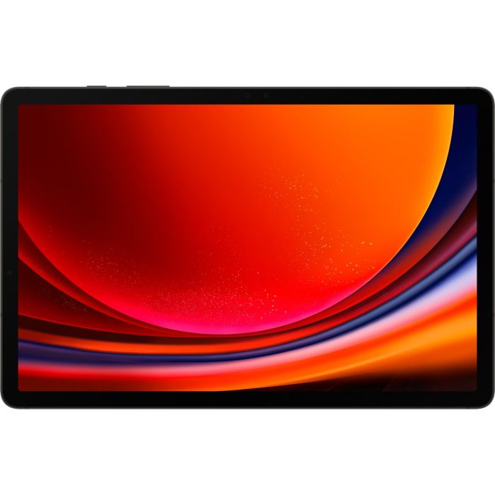 Samsung Galaxy Tab S9 EE 128GB LTE DE graphite 1