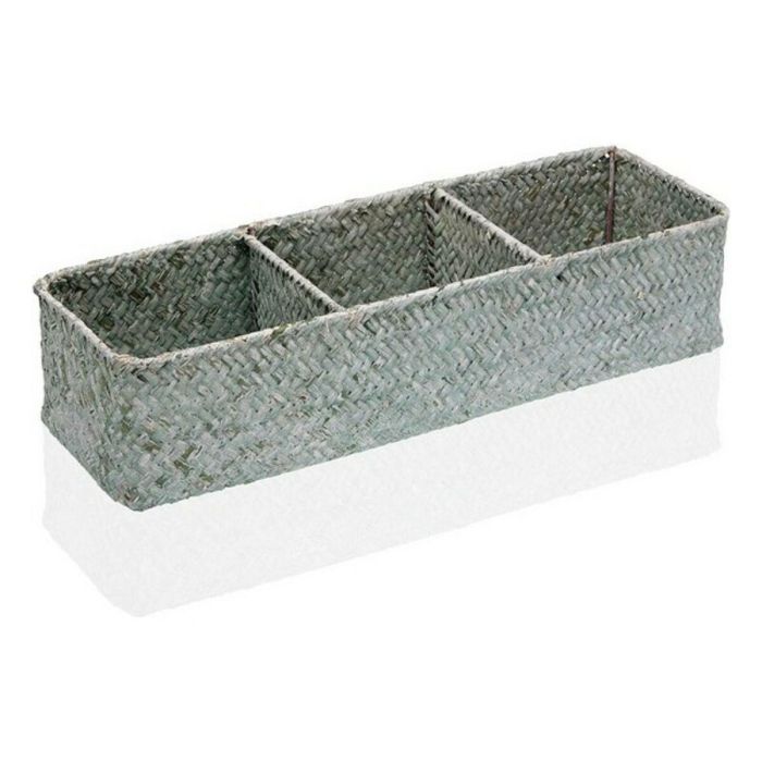 Caja con compartimentos Versa Algas marinas (12 x 8 x 36 cm) 0 Caja con compartimentos Versa Algas marinas (12 x 8 x 36 cm) 0