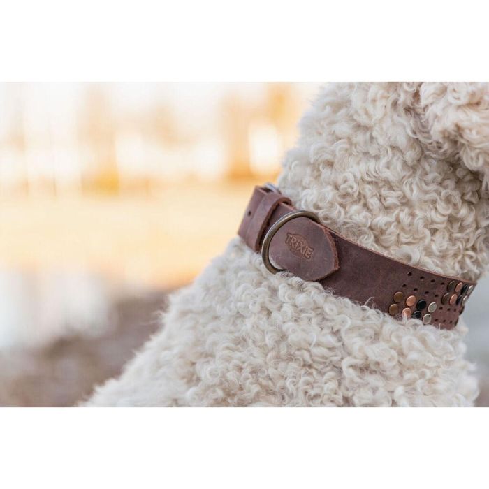 Collar para Perro Trixie Rustic Marrón oscuro XL 4 Collar para Perro Trixie Rustic Marrón oscuro XL 4
