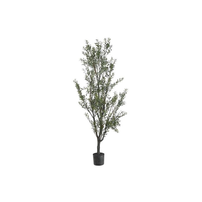 DKD Home Decor Árbol de Olivo Verde para Decoración del Hogar – Material PE, Dimensiones 210 cm Alto x 80 cm Ancho x 80 cm Fondo DKD Home Decor Árbol de Olivo Verde para Decoración del Hogar – Material PE, Dimensiones 210 cm Alto x 80 cm Ancho x 80 cm Fondo