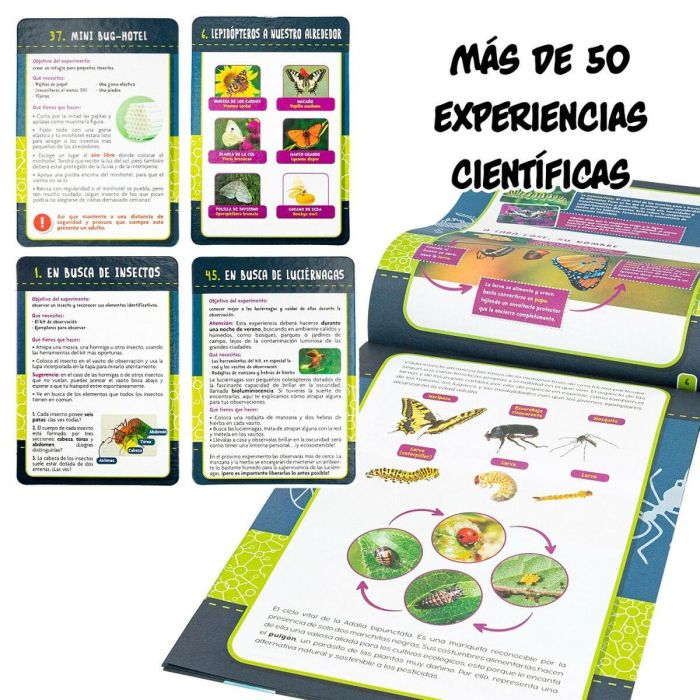 Juego de Ciencia Lisciani Insectos ES (6 Unidades) 3 Juego de Ciencia Lisciani Insectos ES (6 Unidades) 3
