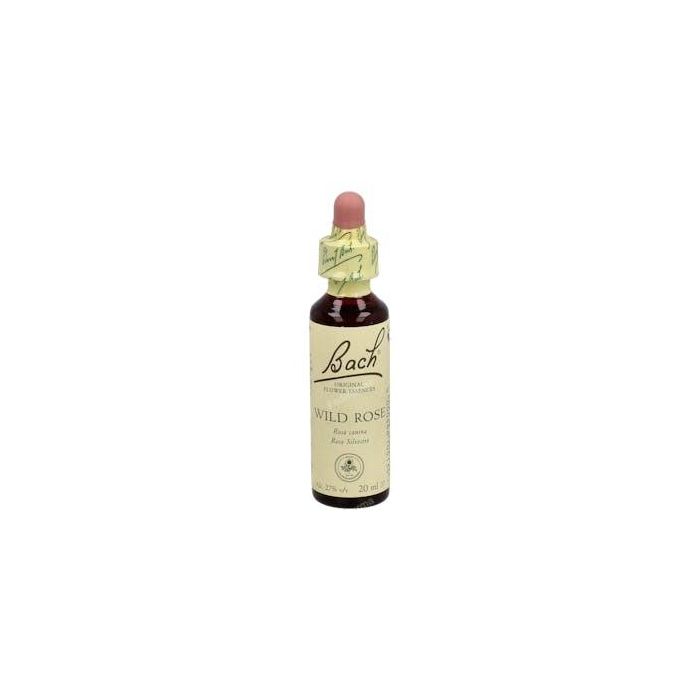 Flores Bach Original Wild Rose Rosa Silvestre 20ml