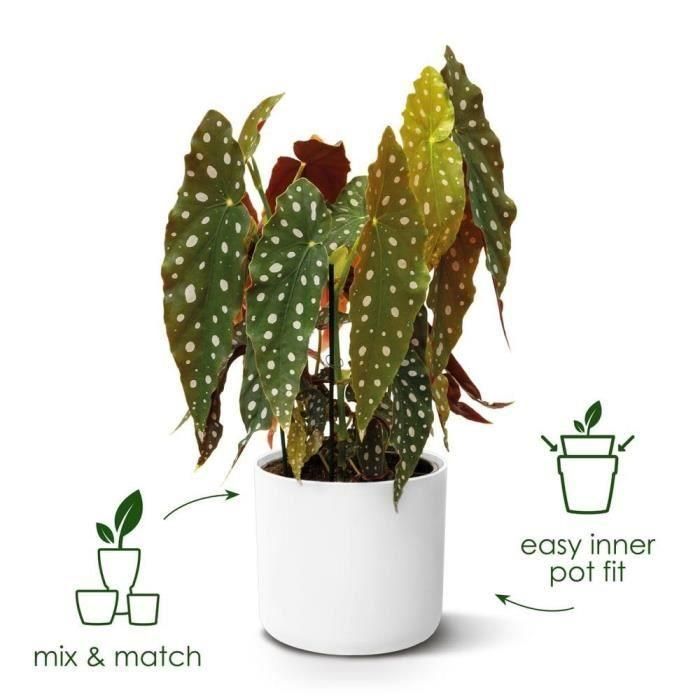 ELHO B.for Maceta Soft Round 35 - Blanco - Ø 35 x H 32 cm - interior - 100% reciclado 1 ELHO B.for Maceta Soft Round 35 - Blanco - Ø 35 x H 32 cm - interior - 100% reciclado 1