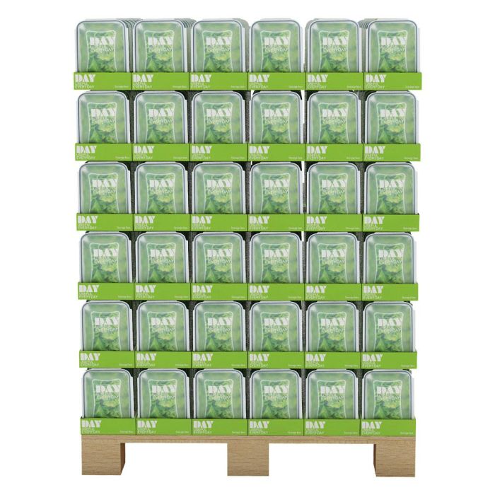 Day Hermético Rectangular Storage 0,5 L Libre de BPA Apto Lavavajillas Microondas Congelador 5