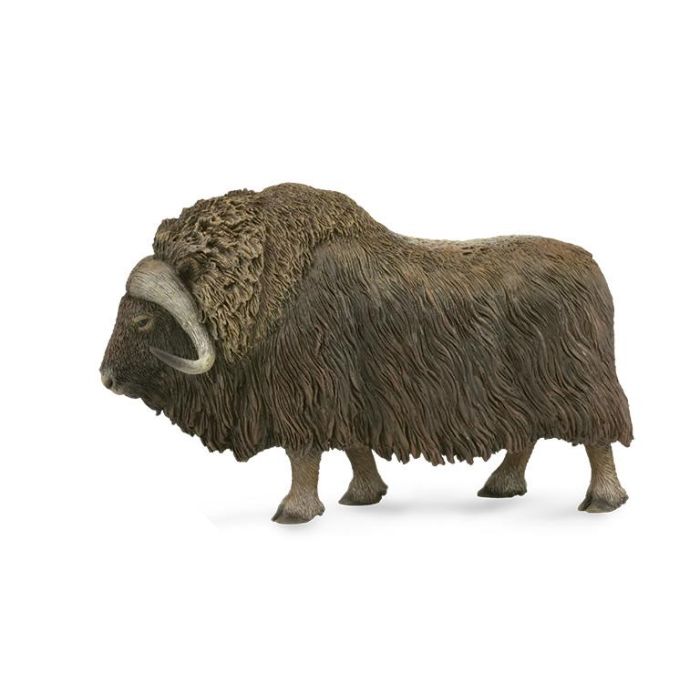 Collecta 88837 Figura Buey Almezclero Animal Ártico, Talla L, Modelo Detallado con Pelaje Grueso para Niños +3 Años Collecta 88837 Figura Buey Almezclero Animal Ártico, Talla L, Modelo Detallado con Pelaje Grueso para Niños +3 Años
