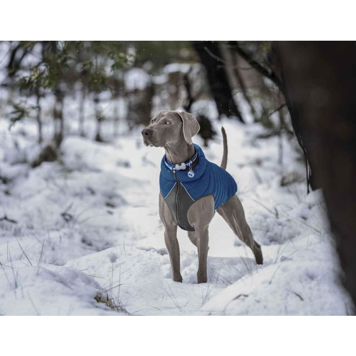 Abrigo Reversible Rd Puffer Jacket Azul-Turquesa 50 cm 1 Abrigo Reversible Rd Puffer Jacket Azul-Turquesa 50 cm 1