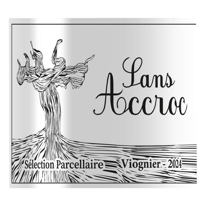 Sans Accroc 2024 - Selección de parcelas del valle del Ródano Viognier - Vin de France - Vino blanco 1 Sans Accroc 2024 - Selección de parcelas del valle del Ródano Viognier - Vin de France - Vino blanco 1