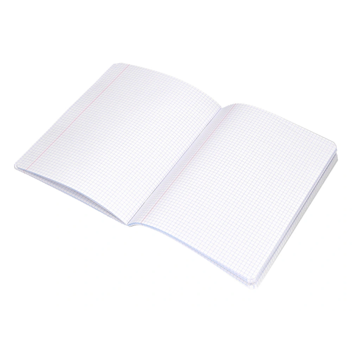 Liderpapel Libreta Scriptus A5 48 Hojas 90gr Cuadro 4mm Con Margen Color Verde 7