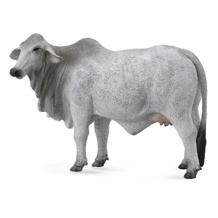Collecta 88580 Vaca Brahmna -L- Figura Réplica Animal de Granja Pintada a Mano Educativa para Niños +3 años Collecta 88580 Vaca Brahmna -L- Figura Réplica Animal de Granja Pintada a Mano Educativa para Niños +3 años