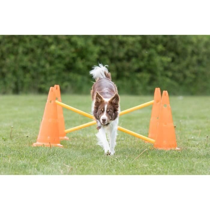 Trixie Kit de Agility para Perros - Lote de 3 Obstáculos con Conos Naranja y Amarillo Ø 23x30 cm y Barras 78 cm 2