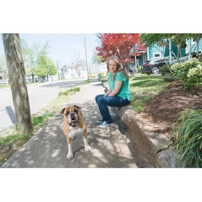 Petsafe Sistema de Entrenamiento y Apoyo Educativo para Perros 600m, Estimulación Electrostática, Vibración, Sonido, Impermeable, Recargable 1