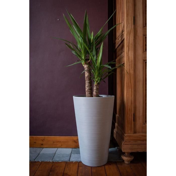 Maceta alta - GARDEN ID - Green Care Sense Tall Taupe - 55 cm - 10 años de garantía - 100% reciclado - Resistencia a los rayos UV y a las heladas 3 Maceta alta - GARDEN ID - Green Care Sense Tall Taupe - 55 cm - 10 años de garantía - 100% reciclado - Resistencia a los rayos UV y a las heladas 3