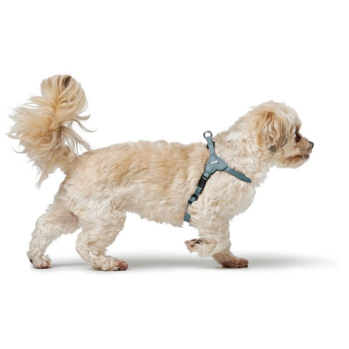 Arnés para Perro Hunter SOHO MINI Azul 3 Arnés para Perro Hunter SOHO MINI Azul 3