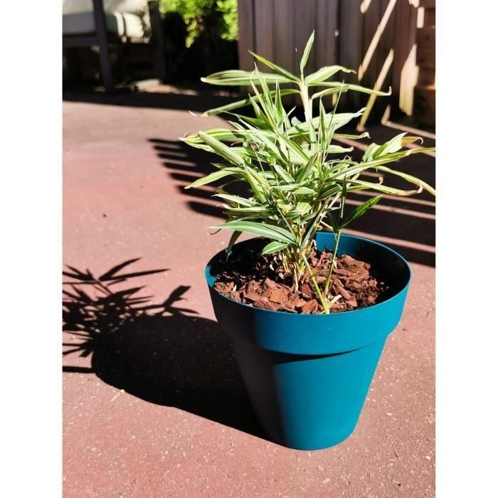 Riviera RIV3580794160069 Jardinera redonda SOLEILLA Plástico Diámetro 60 cm Azul Riviera RIV3580794160069 Jardinera redonda SOLEILLA Plástico Diámetro 60 cm Azul