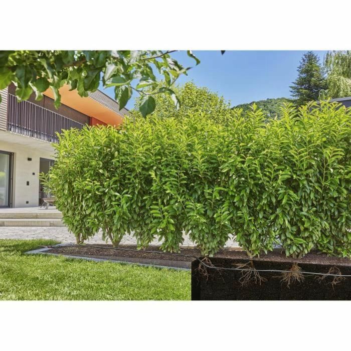 Gardena 13503-20 Extensión de Tuberías de Goteo Incorporadas 25 m Enterradas y en la Superficie 1