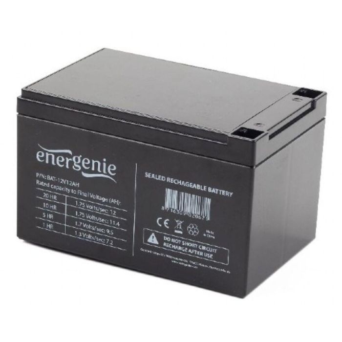 Gembird BAT-12V12AH Batería para Sistema UPS Sealed Lead Acid (VRLA) 12V 12Ah