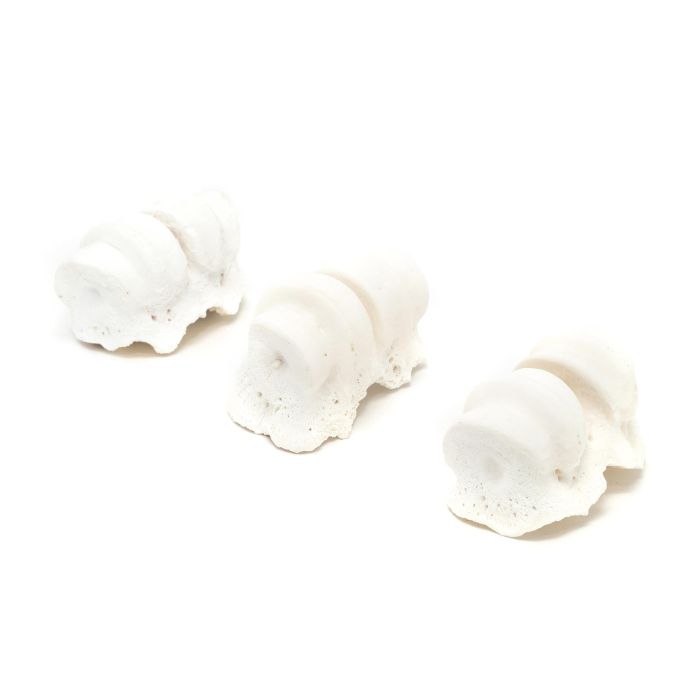 Gloria Nudillos de Calcio para Perros Pequeños, Hueso de Vacuno Anti Sarro, Salud Dental y Calcio Extra, Pack 30 Unidades 2