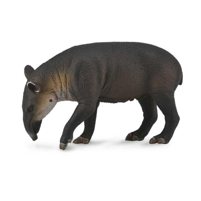 Collecta 88596 Figura Tapir Centroamericano Escala L Animal Salvaje Detallada Pintada a Mano Alta Calidad Educacional +3 Años Collecta 88596 Figura Tapir Centroamericano Escala L Animal Salvaje Detallada Pintada a Mano Alta Calidad Educacional +3 Años