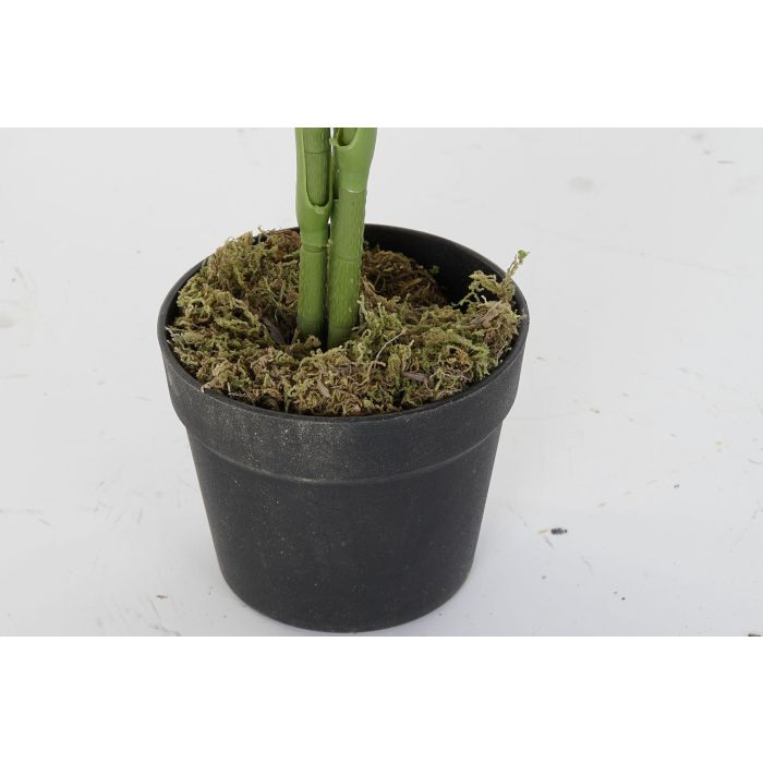 DKD Home Decor Planta Verde 40 x 100 x 40 cm 2