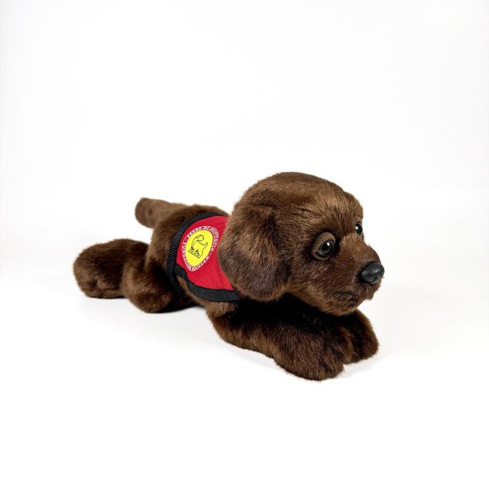 Peluche Labrador Chocolate 21Cm Con Chaleco 939D00248 Bocala 1