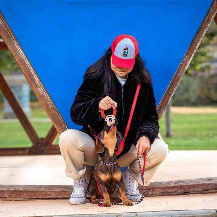 Juguete para perros Mickey Mouse 1 Juguete para perros Mickey Mouse 1