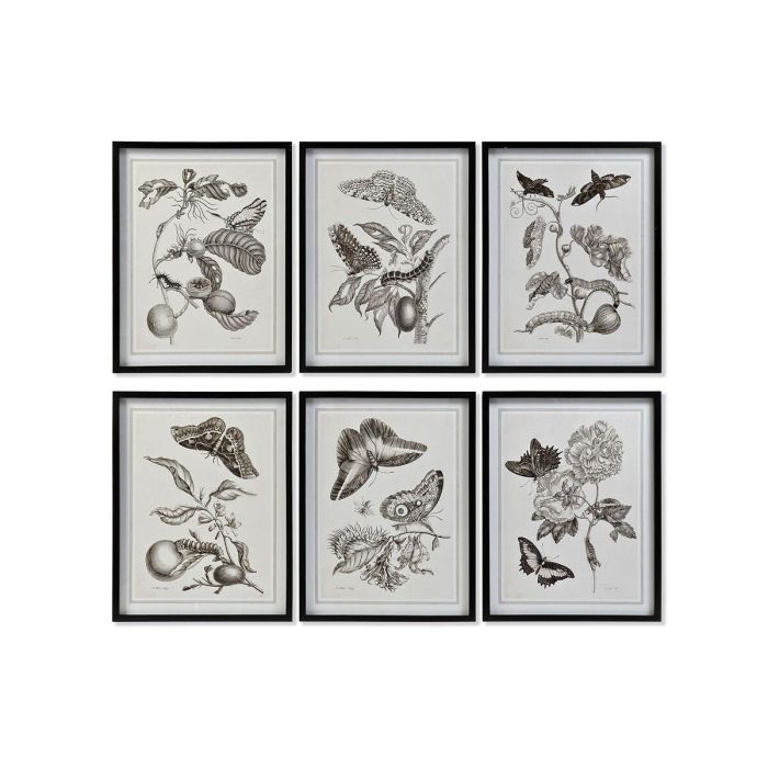Cuadro Moderno DKD Home Decor Gris Beige 2.5 x 65 x 50 cm (6 Unidades) 1