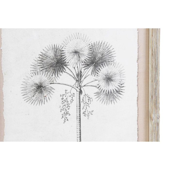 Cuadro Colonial DKD Home Decor Gris Beige 1.8 x 45 x 35 cm (9 Unidades) 2