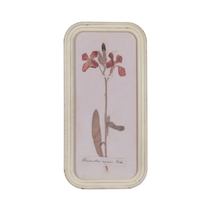 Cuadro Impresión Flores 4/M Dm-Cristal 25 X 2 X 50 cm