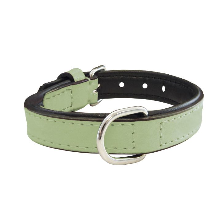 Gloria Collar Piel Acolchado Verde 30 cm X 15 mm 5