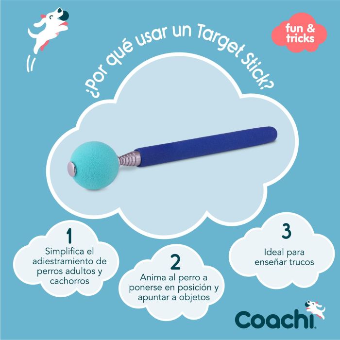 Coachi Target Stick Azul Telescópico con Clicker y Pelota de Espuma Grande para Adiestramiento Perros y Cachorros, Agilidad 5 Coachi Target Stick Azul Telescópico con Clicker y Pelota de Espuma Grande para Adiestramiento Perros y Cachorros, Agilidad 5