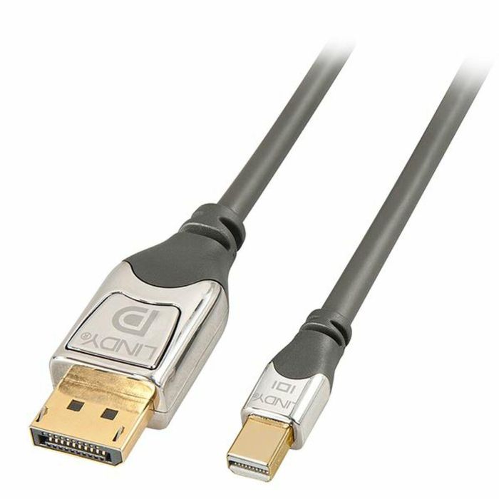 Adaptador Mini DisplayPort a DisplayPort LINDY 36311 Gris 1 m Adaptador Mini DisplayPort a DisplayPort LINDY 36311 Gris 1 m