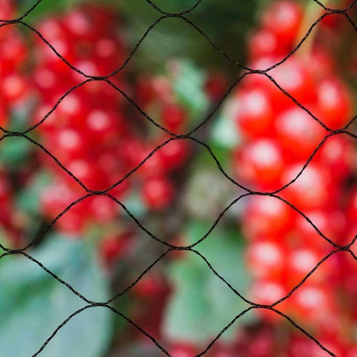 Primo Natural Anti-Bird Net 10 x 10 m Negro 1