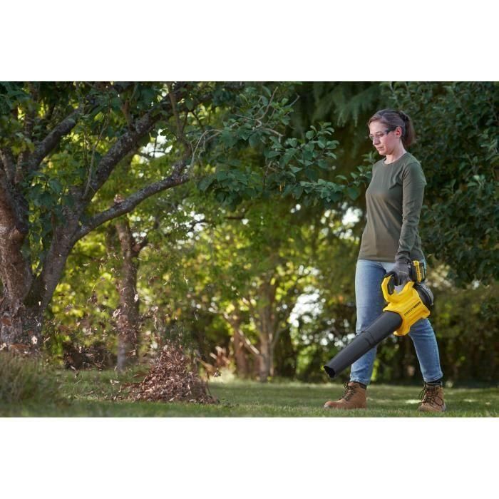 STANLEY FATMAX - SOPLADOR AXIAL 18V con modo boost - Se suministra con cargador y batería de 4AH 2 STANLEY FATMAX - SOPLADOR AXIAL 18V con modo boost - Se suministra con cargador y batería de 4AH 2