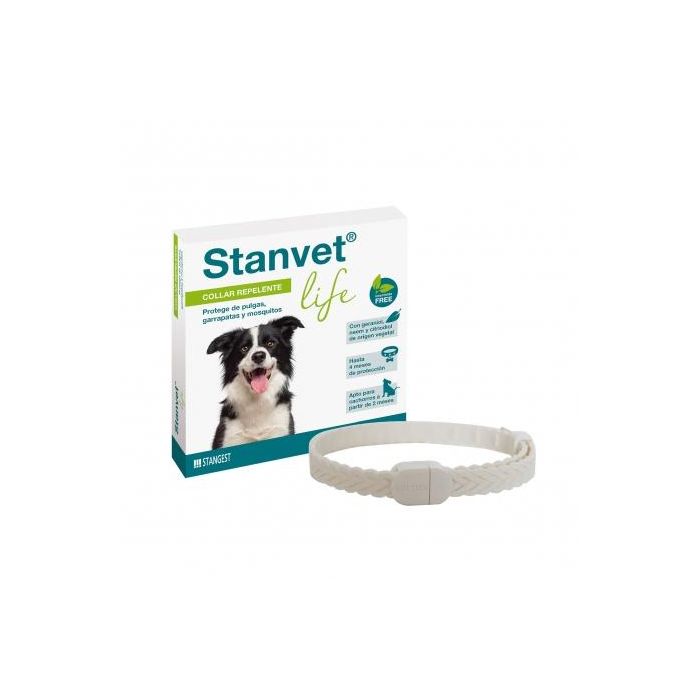 Stangest Collar Perro Stanvet Life