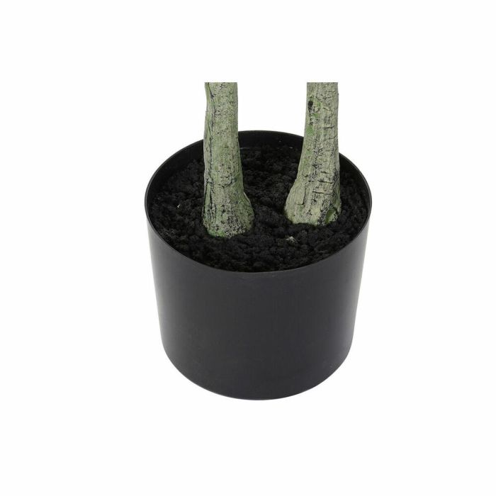 Árbol DKD Home Decor Poliéster Polipropileno Olivo 80 x 80 x 180 cm (80 x 80 x 180 cm) 2 Árbol DKD Home Decor Poliéster Polipropileno Olivo 80 x 80 x 180 cm (80 x 80 x 180 cm) 2