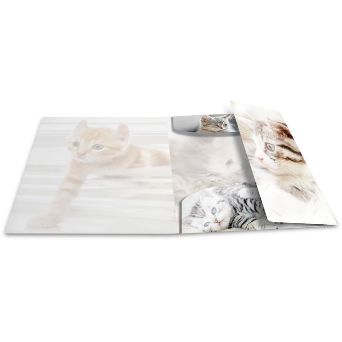 HERMA Sammelmappe A4 Glossy Katze Polypropylen 2 HERMA Sammelmappe A4 Glossy Katze Polypropylen 2