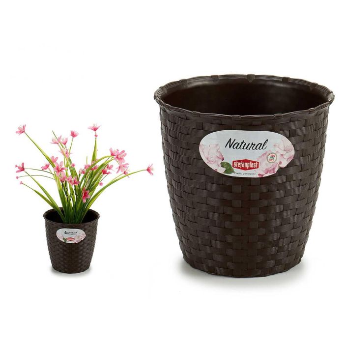 Maceta Natural Stefanplast Chocolate 14x13x14 cm - Interior y Exterior (12 Unidades) Maceta Natural Stefanplast Chocolate 14x13x14 cm - Interior y Exterior (12 Unidades)