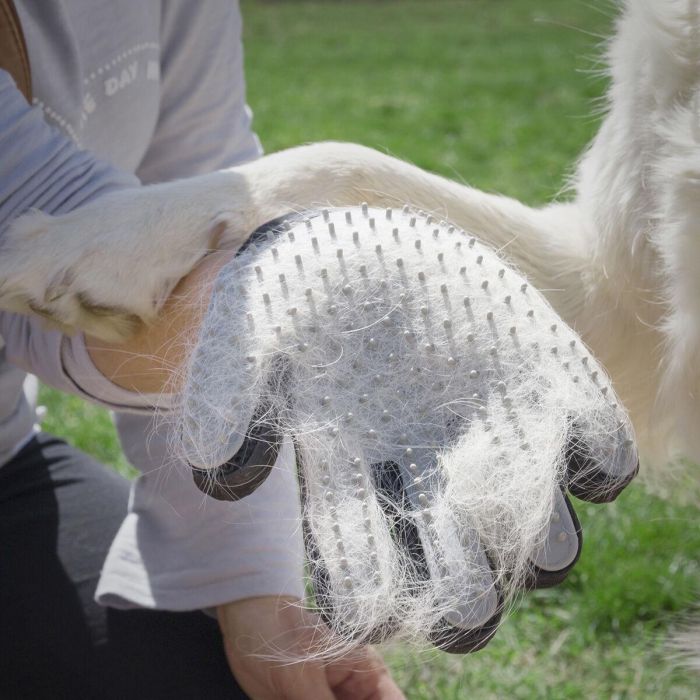 Guante para Cepillar y Masajear Mascotas Relpet InnovaGoods 7 Guante para Cepillar y Masajear Mascotas Relpet InnovaGoods 7