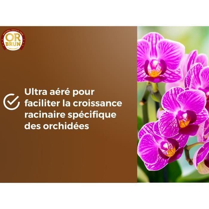 Tierra para orquídeas - BROWN GOLD - OBRTORC6U - 6L - Favorece el crecimiento 4 Tierra para orquídeas - BROWN GOLD - OBRTORC6U - 6L - Favorece el crecimiento 4