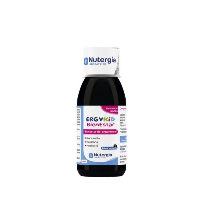 Ergykid Bienestar Ergykid Bienestar