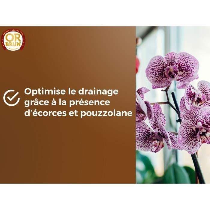 Tierra para orquídeas - BROWN GOLD - OBRTORC6U - 6L - Favorece el crecimiento 5 Tierra para orquídeas - BROWN GOLD - OBRTORC6U - 6L - Favorece el crecimiento 5