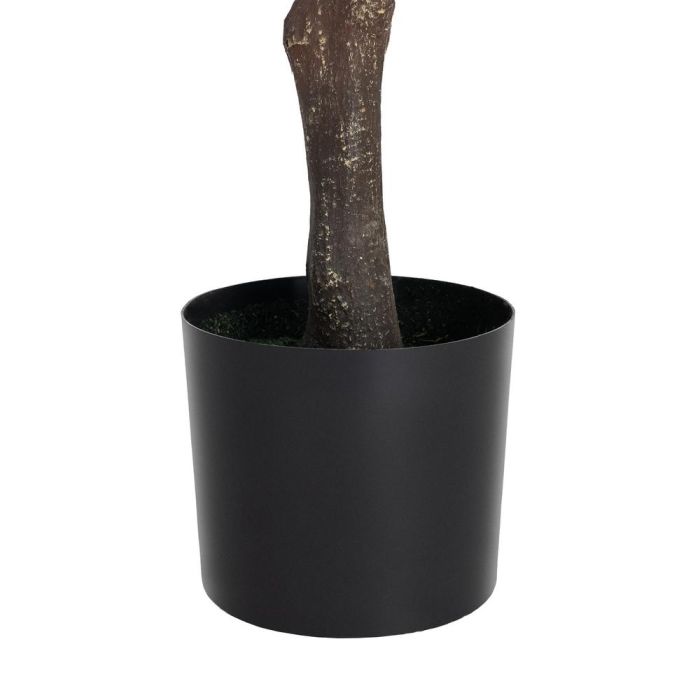 Planta Olivo Verde Poliester Decoración 130 X 240 cm