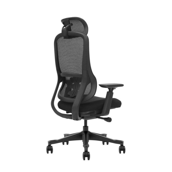 Silla Oficina Lira Apoyo Lumbar Sistema 3 Silla Oficina Lira Apoyo Lumbar Sistema 3