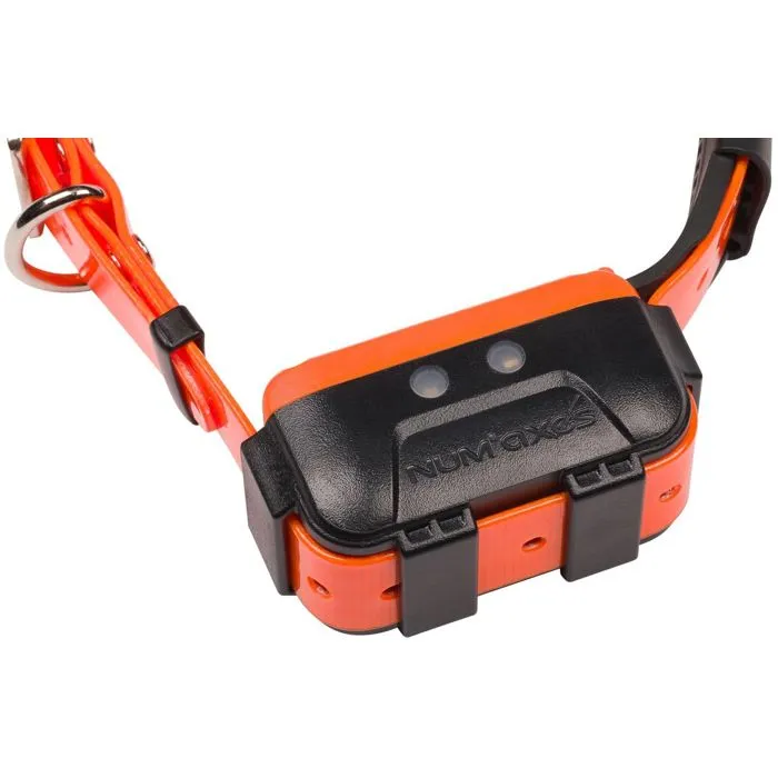 Num'Axes Collar GPS Canicom GPS 2 NUM3700192311980 - Solo collar - Negro / Naranja 1 Num'Axes Collar GPS Canicom GPS 2 NUM3700192311980 - Solo collar - Negro / Naranja 1