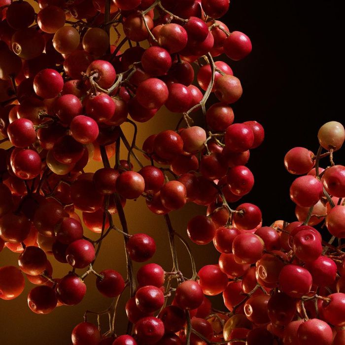 Dolce & Gabbana THE ONE INTENSE edp Vapo 30 ml Perfume para Mujer 3