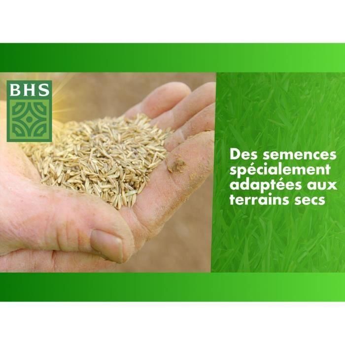 Reposición de suelo seco para césped - BHS - 3 kg | 150 m² | Fuerte y duradero, con excelente durabilidad y tolerancia al pisoteo. 2 Reposición de suelo seco para césped - BHS - 3 kg | 150 m² | Fuerte y duradero, con excelente durabilidad y tolerancia al pisoteo. 2