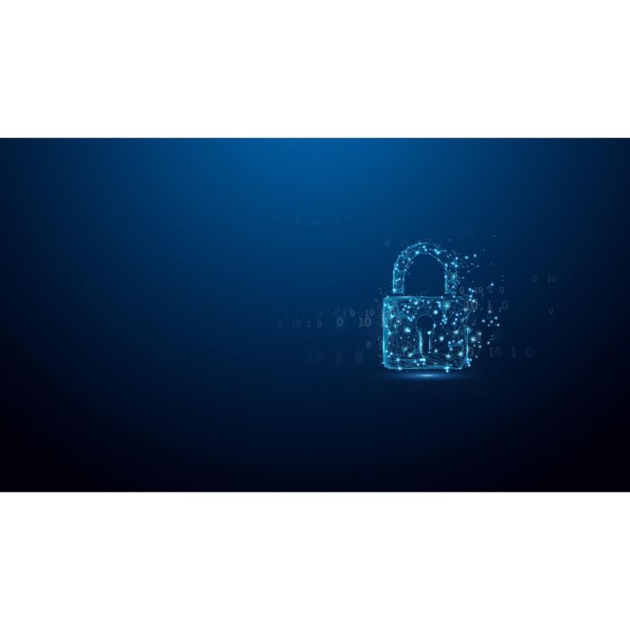 Kingston IronKey D500S USB-Stick 16GB FIPS 140-3 Lvl 3 AES-256 USB 3.2 Gen 1 (3.1 Gen 1) 260 MB/s Lectura 9