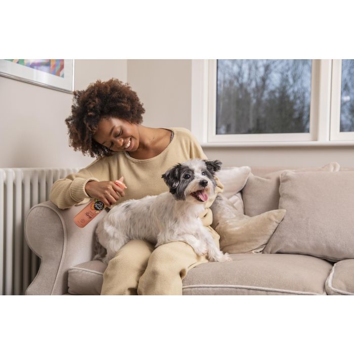 Pet Head Quick Fix Spray de Lavado en Seco para Perros, Melocotón 300 ml - Limpieza Rápida Sin Aclarado